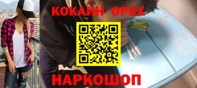 спайс Кингисепп