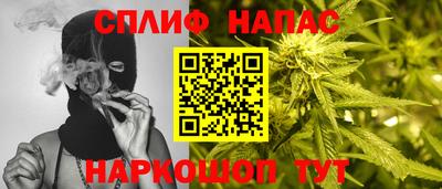 спайс Кингисепп