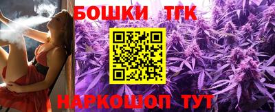 спайс Кингисепп