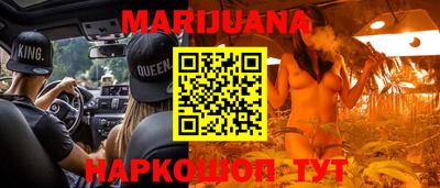 спайс Кингисепп