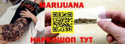 спайс Кингисепп