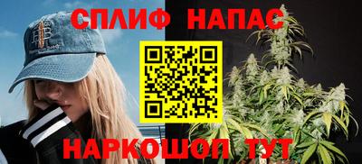 спайс Кингисепп